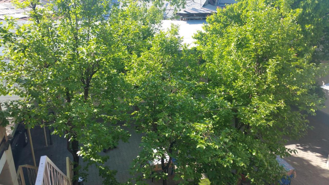 Gulnara Guesthouse Tashkent Ngoại thất bức ảnh